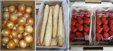 輸出商品 玉葱,長芋,いちご