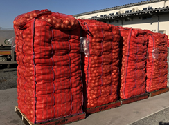 Tsukijisangyo,onion,yam,import,export,Japan