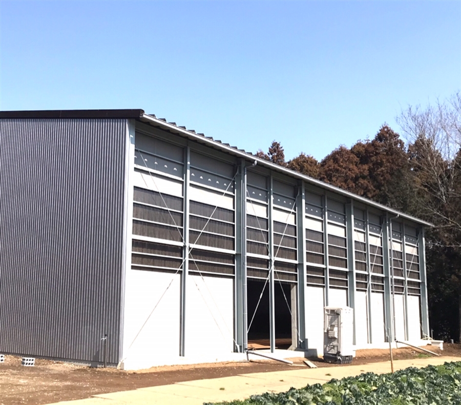 築地産業,ムキ玉ねぎ,玉ねぎ,カット野菜,青果仲卸,輸入